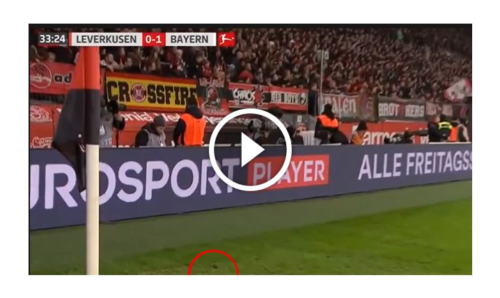 Nietypowy gość na meczu Bundesligi... :D [VIDEO]