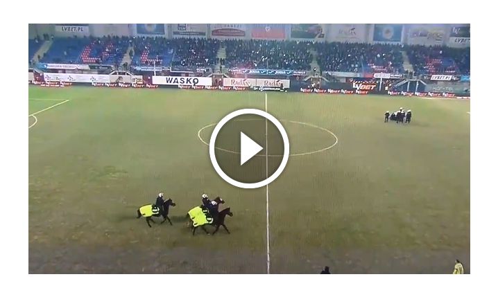 Policyjne konie na meczu Piast - Górnik! [VIDEO]
