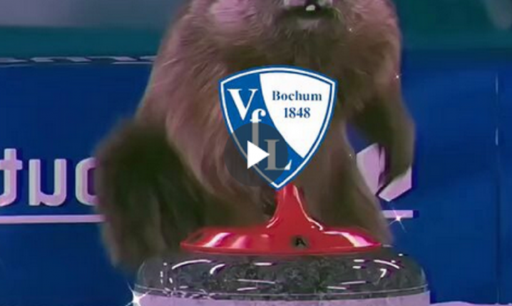 VfL Bochum po POKONANIU Hoffenheim na Tik Toku XD [VIDEO]