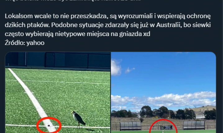 HlT! Dlatego w Australii zamknięto stadion... xD