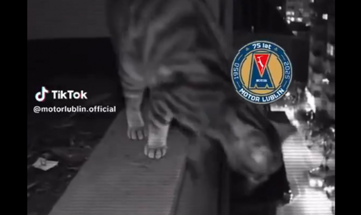 Takiego Tiktoka wrzucił Motor Lublin po meczu z Górnikiem... xD [VIDEO]