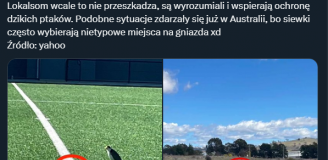 HlT! Dlatego w Australii zamknięto stadion... xD