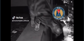 Takiego Tiktoka wrzucił Motor Lublin po meczu z Górnikiem... xD [VIDEO]