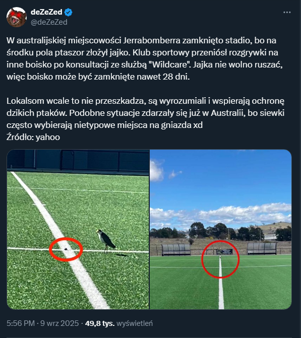 HlT! Dlatego w Australii zamknięto stadion... xD